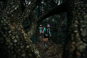 BIB: 
                            <button type="button" onclick="openModal(25689316)" class="btn btn-primary btn-sm float-right btn-popup" data-toggle="modal" data-target=".modal-high-quality">
                        <i class="fas fa-shopping-cart"></i> Add to Cart
                    </button>
                                            <button type="button" onclick="isThisMe(25689316, true)" class="btn btn-success btn-sm float-right btn-popup btn-isme hidden" data-toggle="tooltip" data-placement="bottom" title="นี่คือรูปของคุณใช่ไหม คลิกที่นี่เพื่อเอาเข้าอัลบั้ม">
                        <i class="fas fa-plus"></i> Add to album
                    </button>
                    <button type="button" onclick="isThisMe(25689316, false)" class="btn btn-warning btn-sm float-right btn-popup btn-isnotme hidden">
                        <i class="fas fa-ban"></i> Remove from album
                    </button>